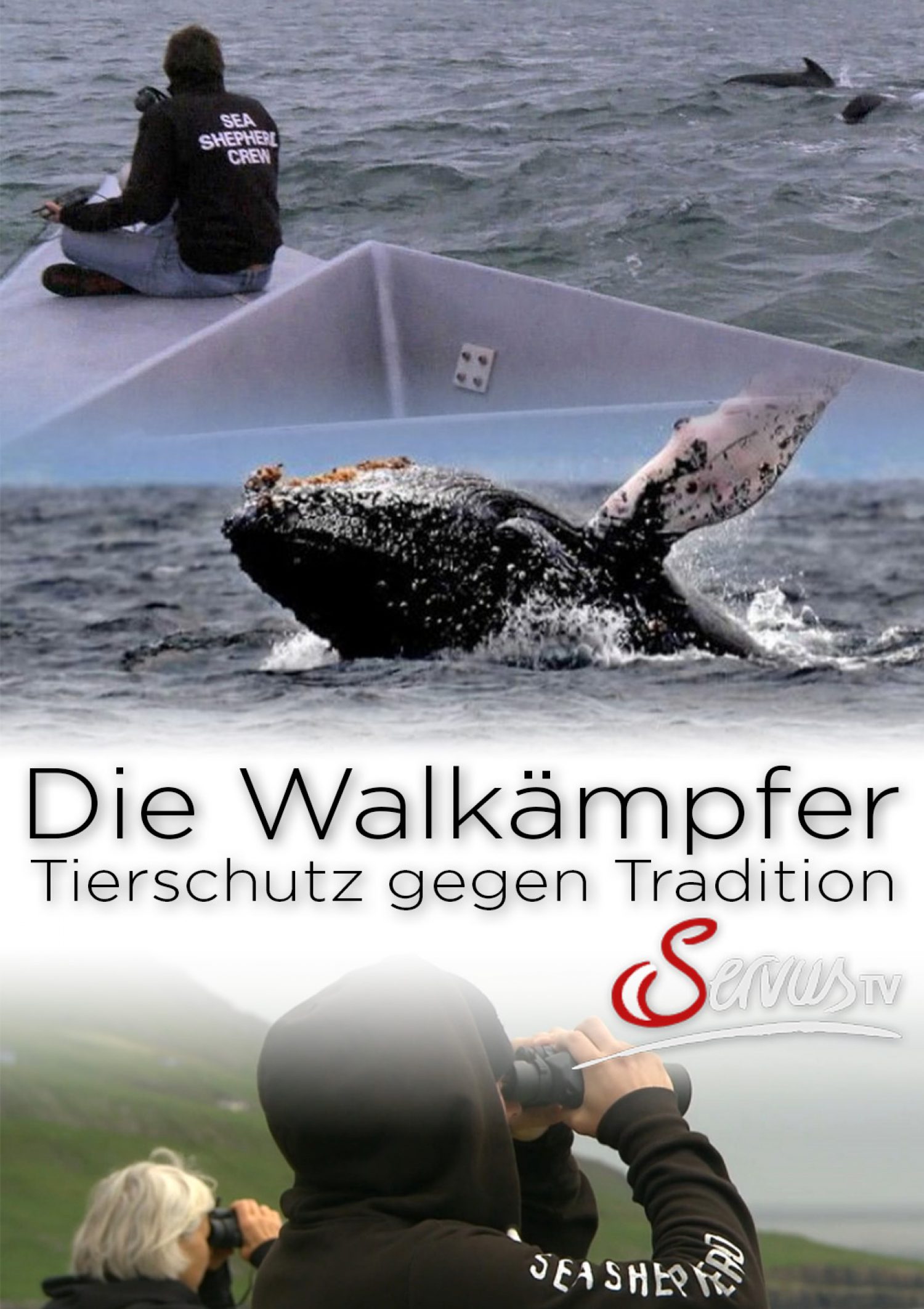Walkaempfer